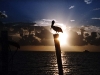 sunset-10.jpg